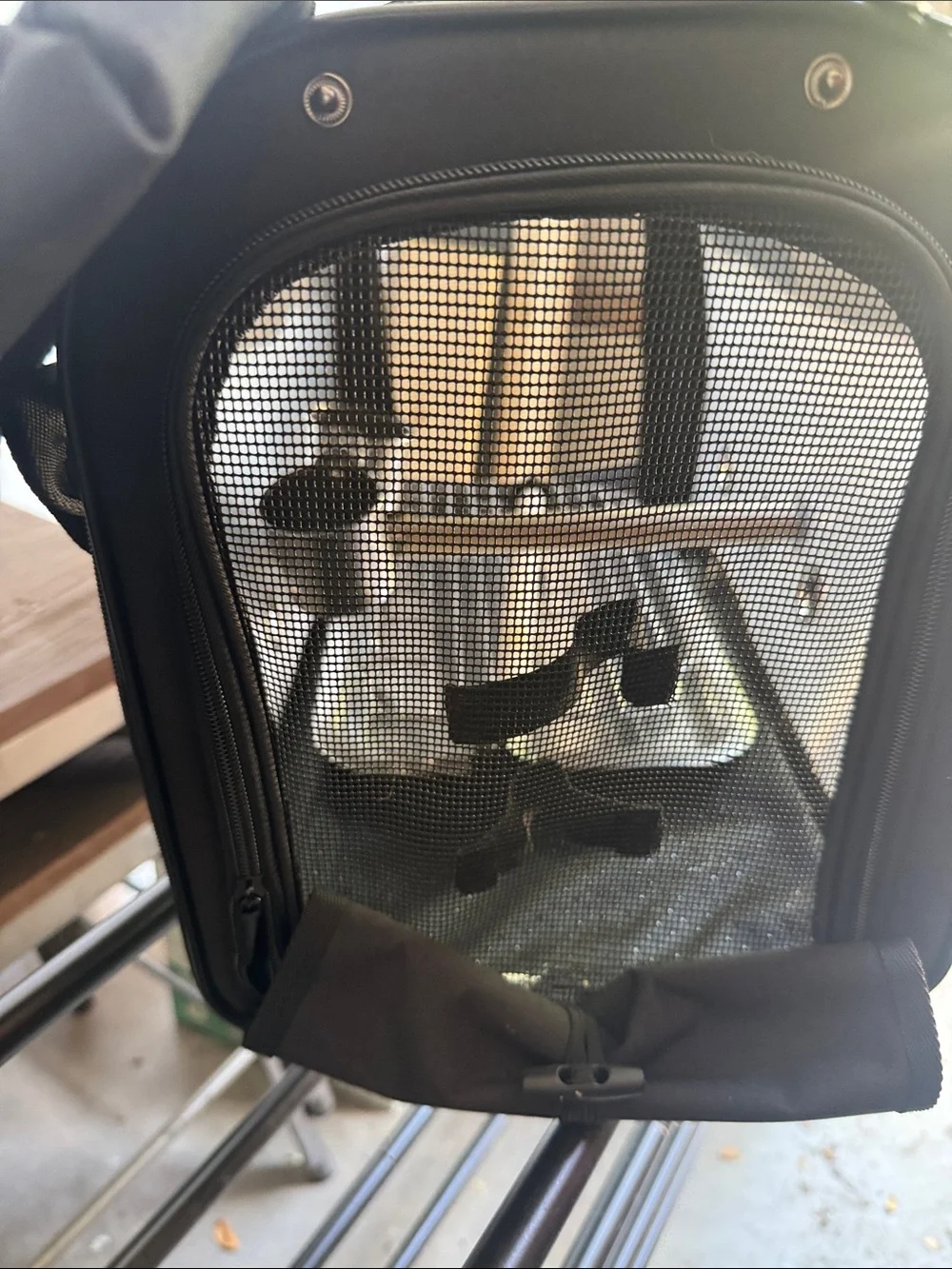 Bird medium Carry Pet Carrier Bag